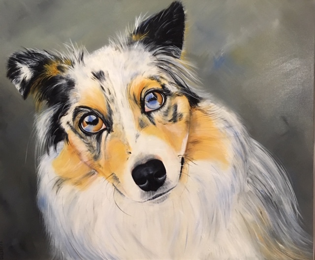 14 Pepa - a special Aussie Shepherd