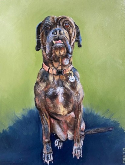 Lilah, A VERY SPECIAL BULLMASTIFF