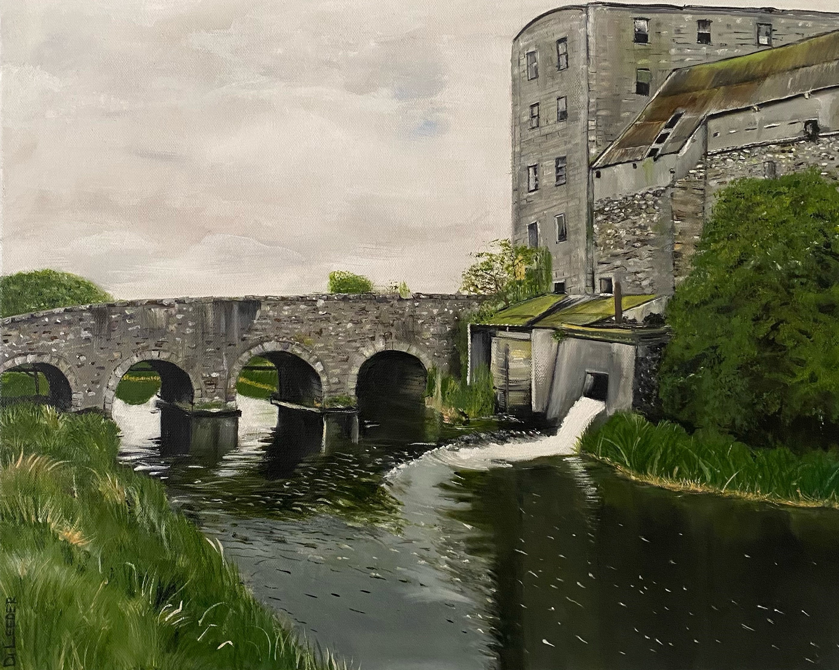 23 Brosna River, Kilbeggan, Country Westmeath - Ireland