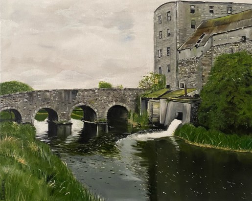 23 Brosna River, Kilbeggan, Country Westmeath - Ireland